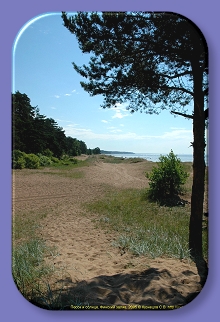 3. Песок и солнце, Финский залив, 2005