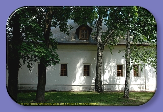 141.    ,  , , 2006
