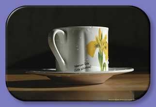 155.  , , 2007