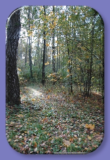 231.    . , 2009